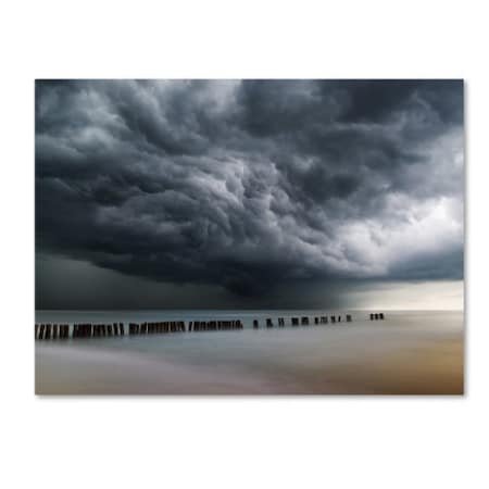 Mindaugas Zarys 'Clouds' Canvas Art,18x24